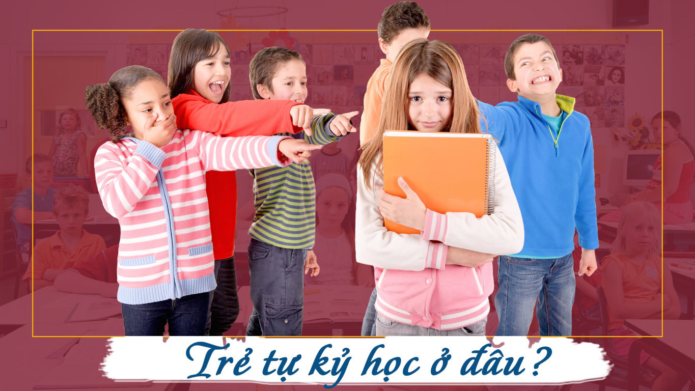 Các hệ thống trường học dành riêng cho trẻ tự kỷ có thể cung cấp các dịch vụ đặc biệt